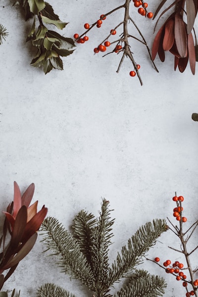 AI Santa Transformation